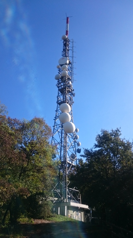 2016-10_belvedere.jpg