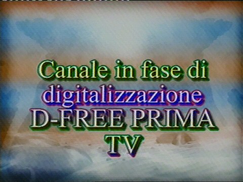 dfree_prima.jpg